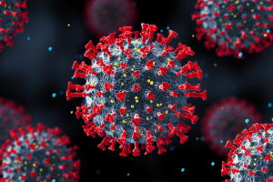 interdisciplinary approach