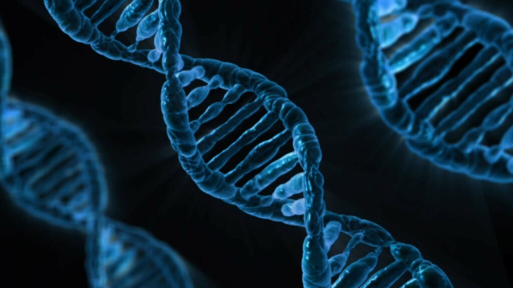A focus on epigenetics: the EWAS Catalog